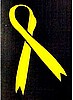 6" yellow Ribbon